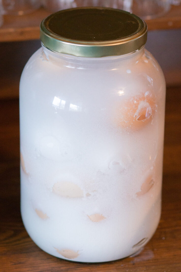 Water Glassed Eggs in Glass Gallon Jar