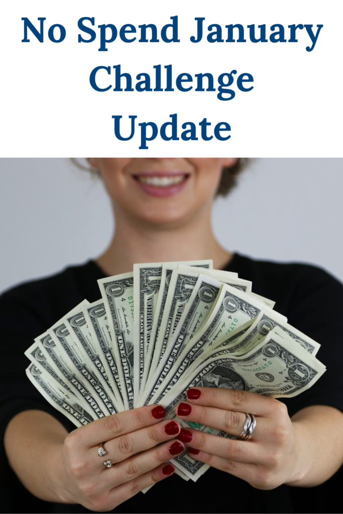 no spend january challenge update