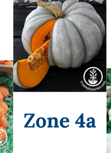 2025 zone 4a seed haul