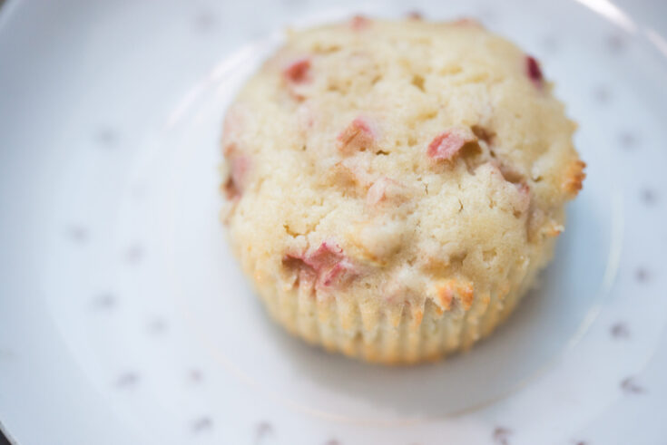 Sourdough Discard Rhubarb Muffins