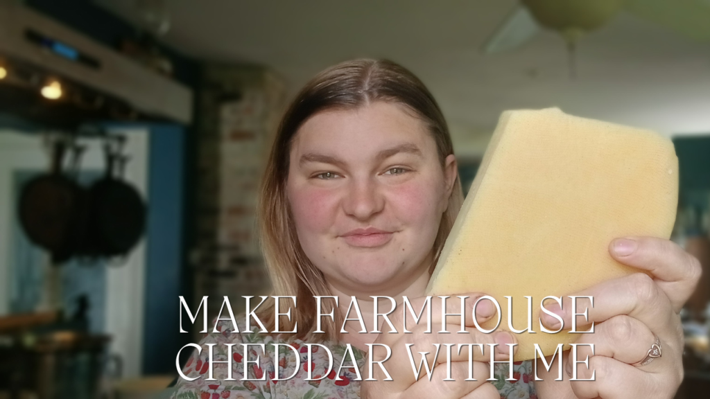 making farmhouse cheddar cheese