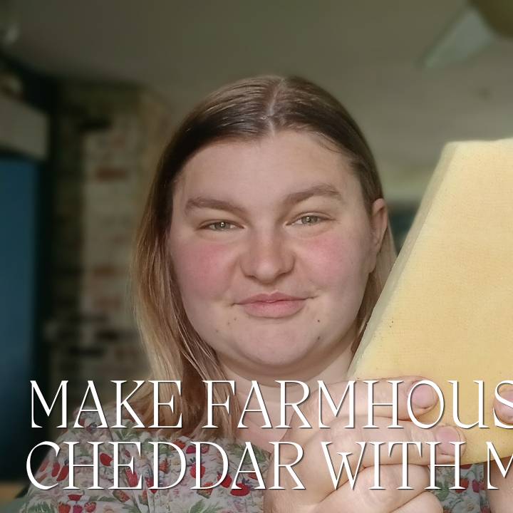 making farmhouse cheddar cheese