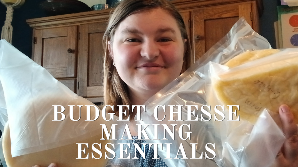 budget cheese making essentials